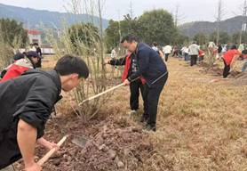 d8cdf4ccceb76baabcf04714c3e616d9